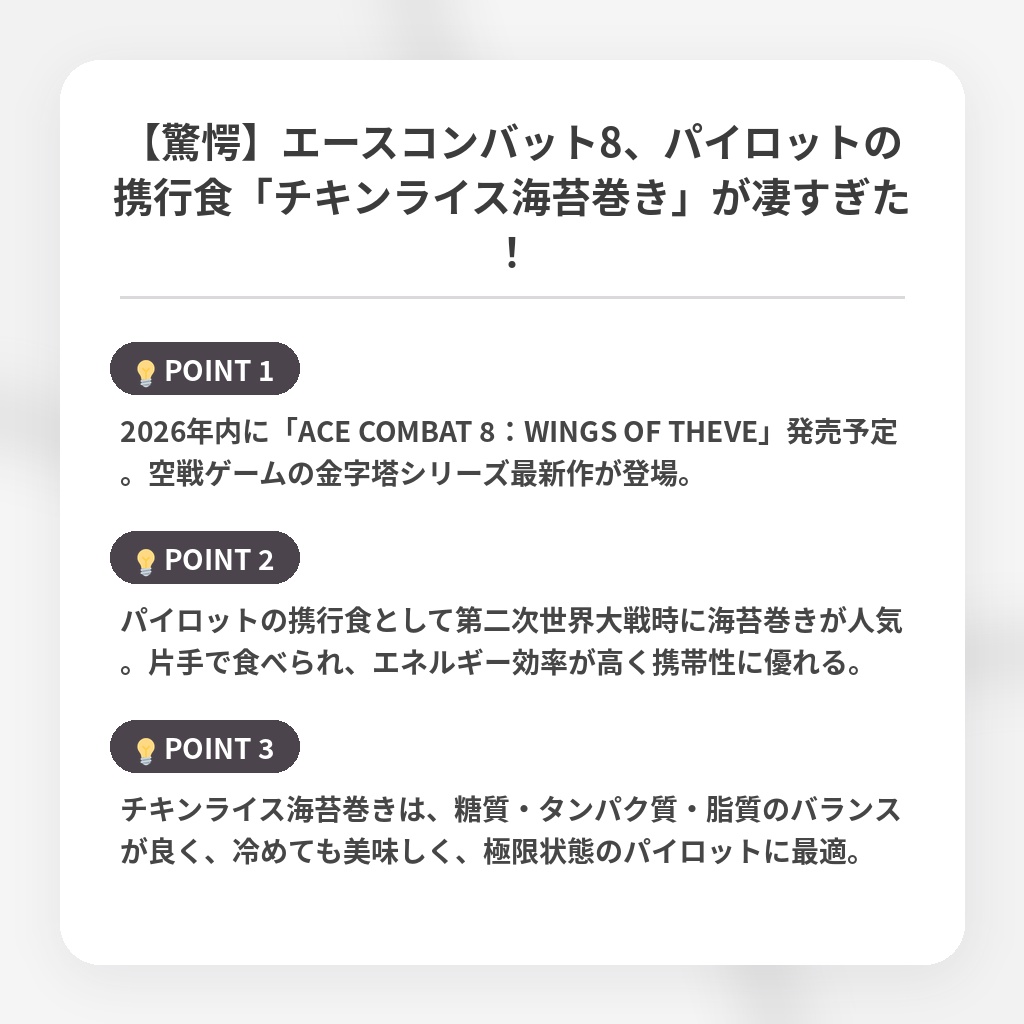 【驚愕】エースコンバット8、パイロットの携行食「チキンライス海苔巻き」が凄すぎた！の注目ポイントまとめ